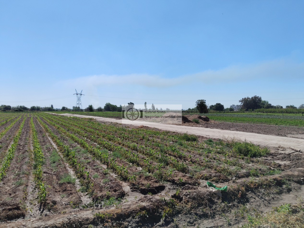 VENTA TERRENO SOBRE CARRIL NACIONAL 3 HA. IDEAL DESARROLLO INMOBILIARIO, GUAYMALLEN