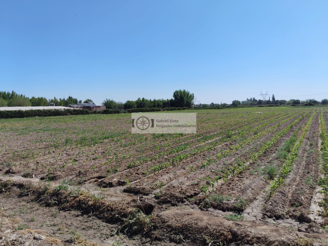 VENTA TERRENO SOBRE CARRIL NACIONAL 3 HA. IDEAL DESARROLLO INMOBILIARIO, GUAYMALLEN