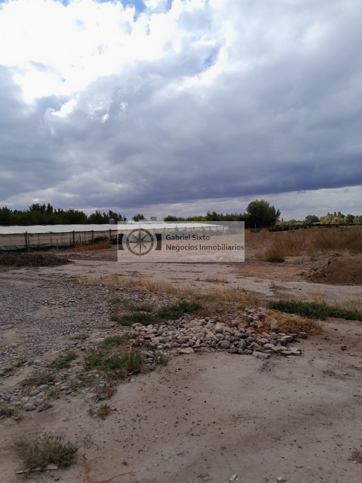 VENTA TERRENO SOBRE CARRIL NACIONAL 1,5 HA. IDEAL DESARROLLO INMOBILIARIO, GUAYMALLEN